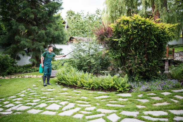 Best Tree Preservation Services  in Fairlea, WV
